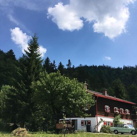 Gatterl Zum See Reit im Winkl Bagian luar foto