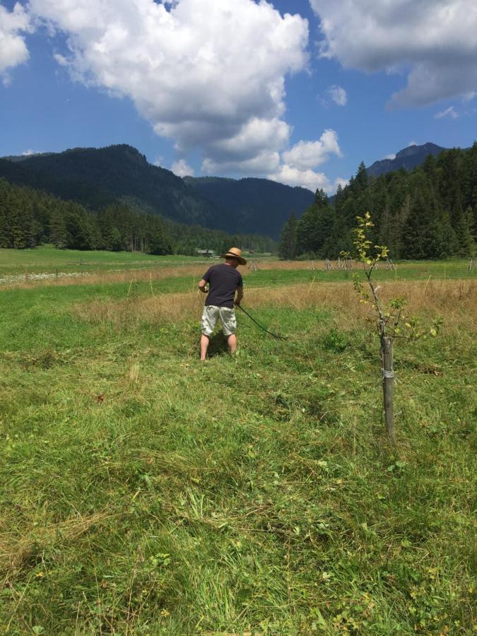 Gatterl Zum See Reit im Winkl Bagian luar foto