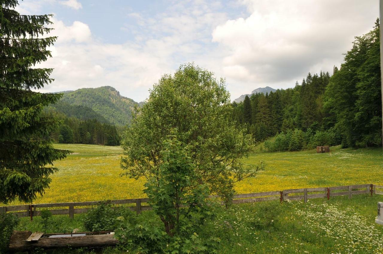 Gatterl Zum See Reit im Winkl Bagian luar foto