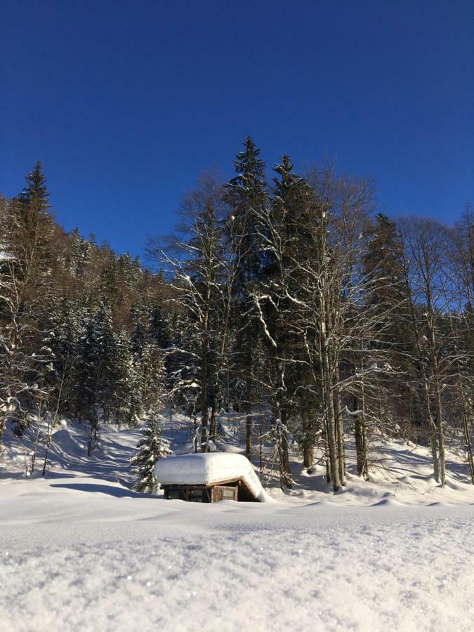 Gatterl Zum See Reit im Winkl Bagian luar foto
