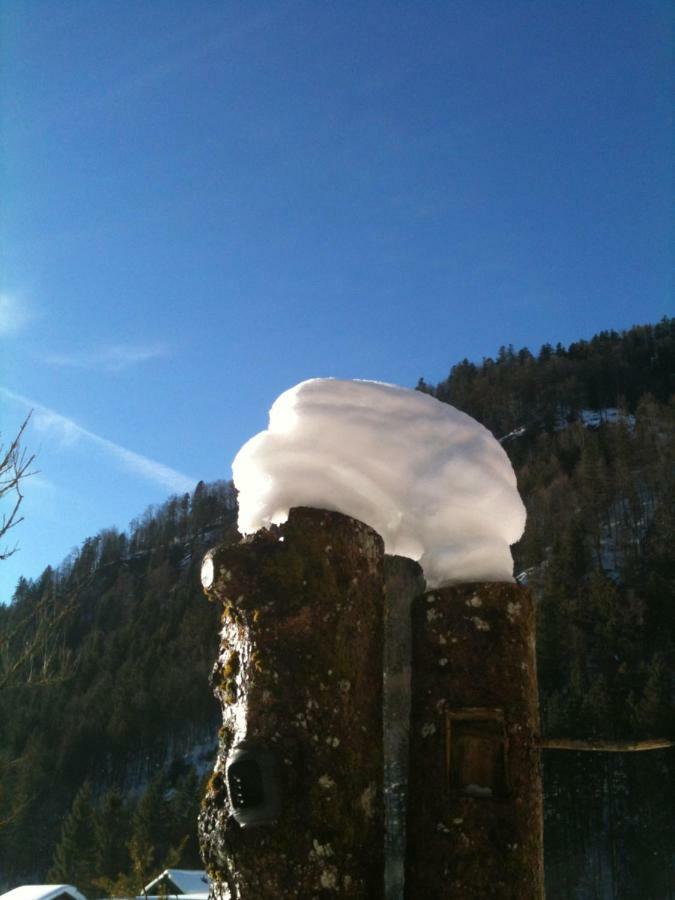 Gatterl Zum See Reit im Winkl Bagian luar foto